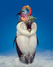 Load image into Gallery viewer, PENGUIN DREAM