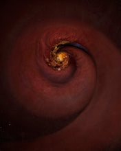Load image into Gallery viewer, SPACE SPIRAL