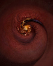 Load image into Gallery viewer, SPACE SPIRAL