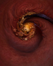 Load image into Gallery viewer, SPACE SPIRAL