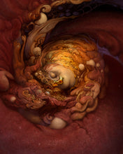 Load image into Gallery viewer, SPACE SPIRAL